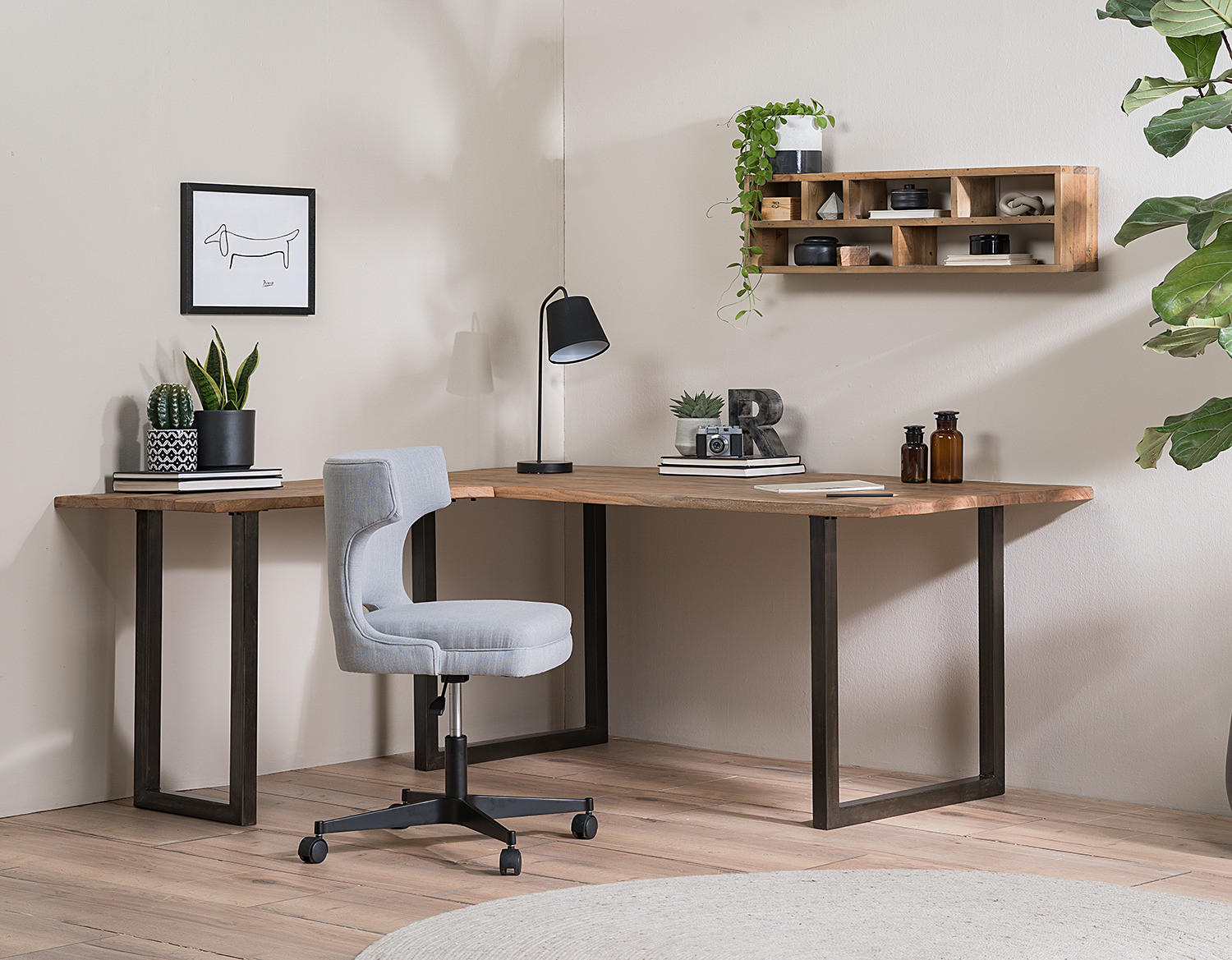 WANDREGAL 6 Fächern - Pinie massiv - Braun, Holz (100/26/16cm) - home24