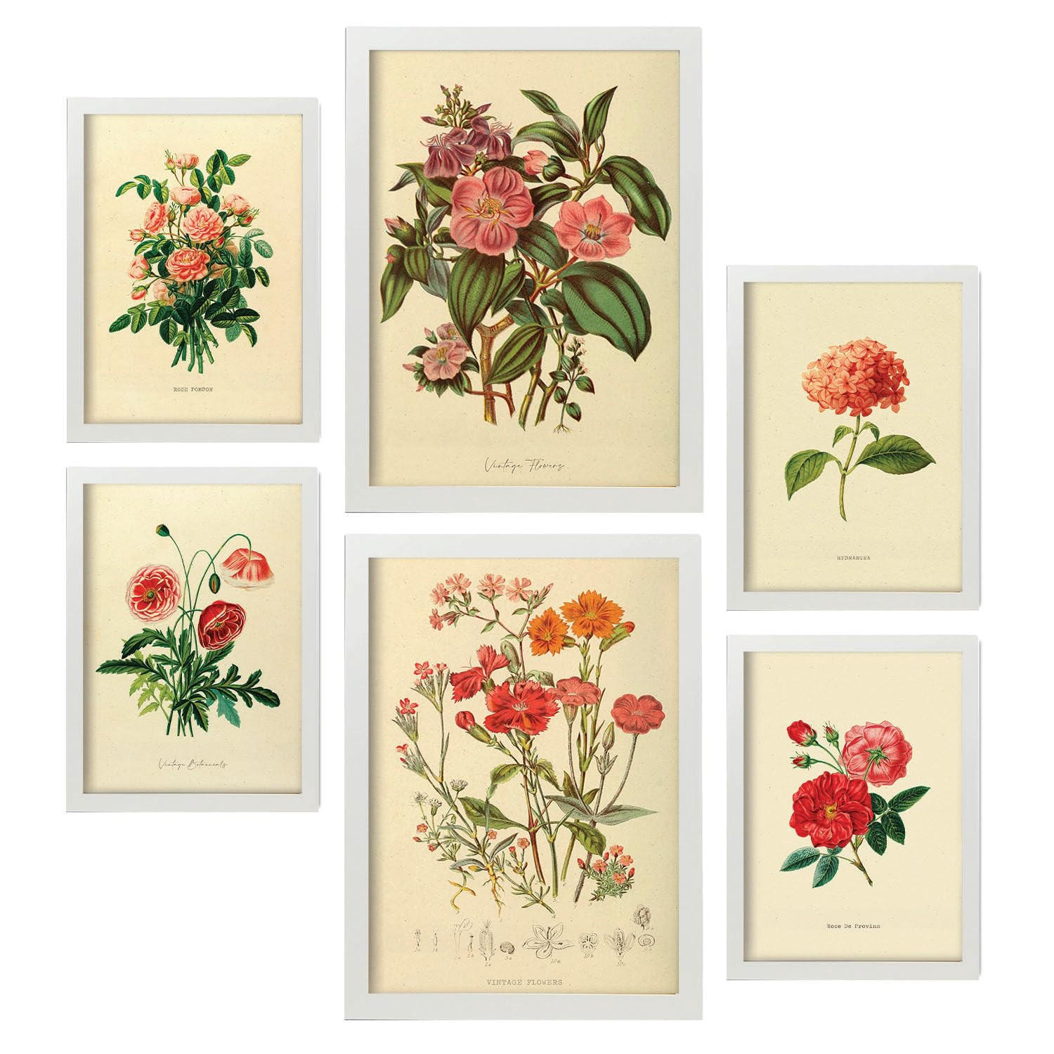 POSTER Set Mit 6 Rosenrosa Blumen In Vintage A3 & A4 Weißer Rahmen - Weiß, Papier (29/3cm) - Nacnic