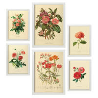 POSTER Set Mit 6 Rosenrosa Blumen In Vintage A3 & A4 Weißer Rahmen - Weiß, Papier (29/3cm) - Nacnic
