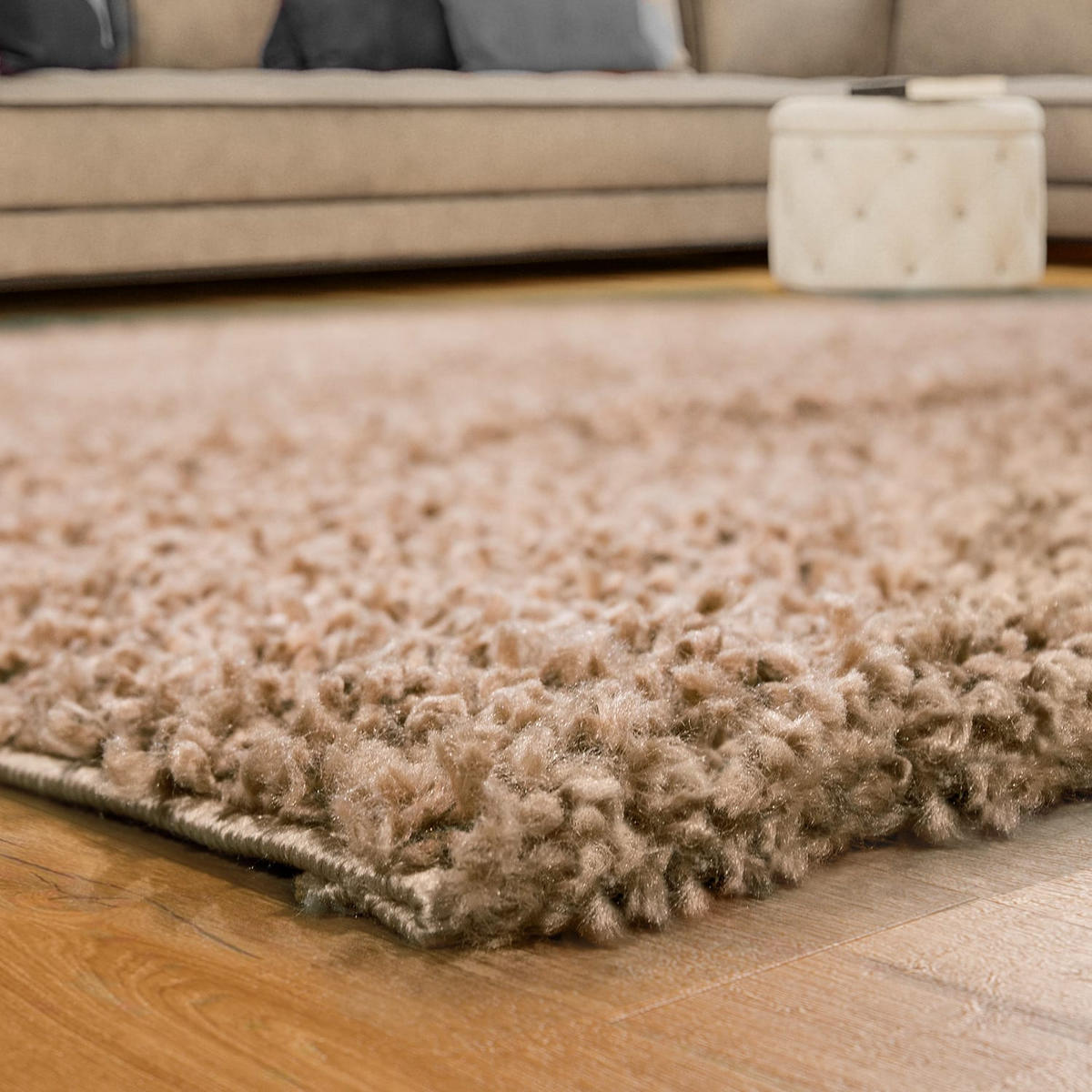 HOCHFLORTEPPICH 60/100 cm Sky 250 - Beige, Kunststoff (60/100cm) - Paco Home