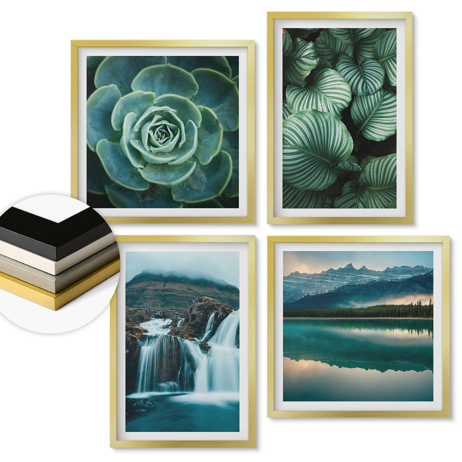 ArtPrintCave Wandbilder Gold 50x50 cm