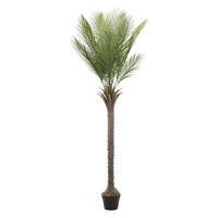 KUNSTPFLANZE Palme - Anthrazit/Grün, Holz/Kunststoff (180cm) - ML-DESIGN