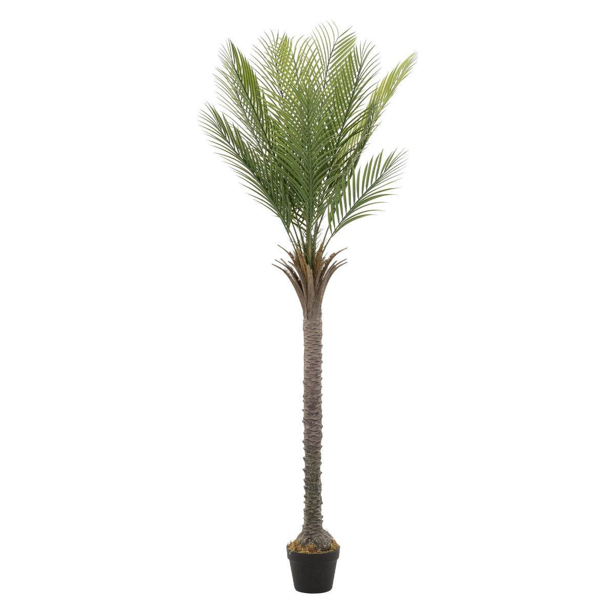 KUNSTPFLANZE Palme - Anthrazit/Grün, Holz/Kunststoff (180cm) - ML-DESIGN
