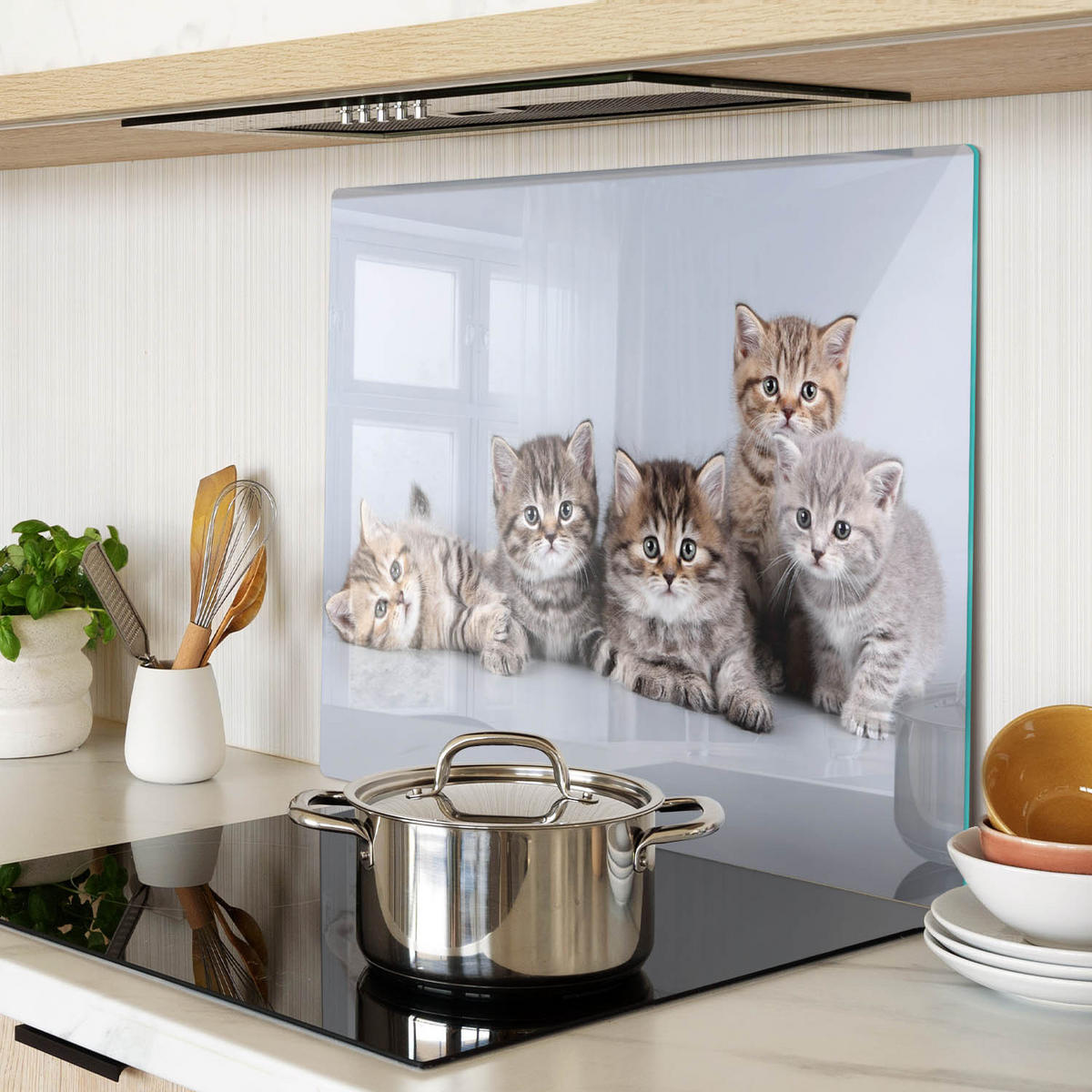 GLASPLATTE 60x52 cm Fünf Katzen - Grau/Grün, Glas (60/52cm) - TULUP