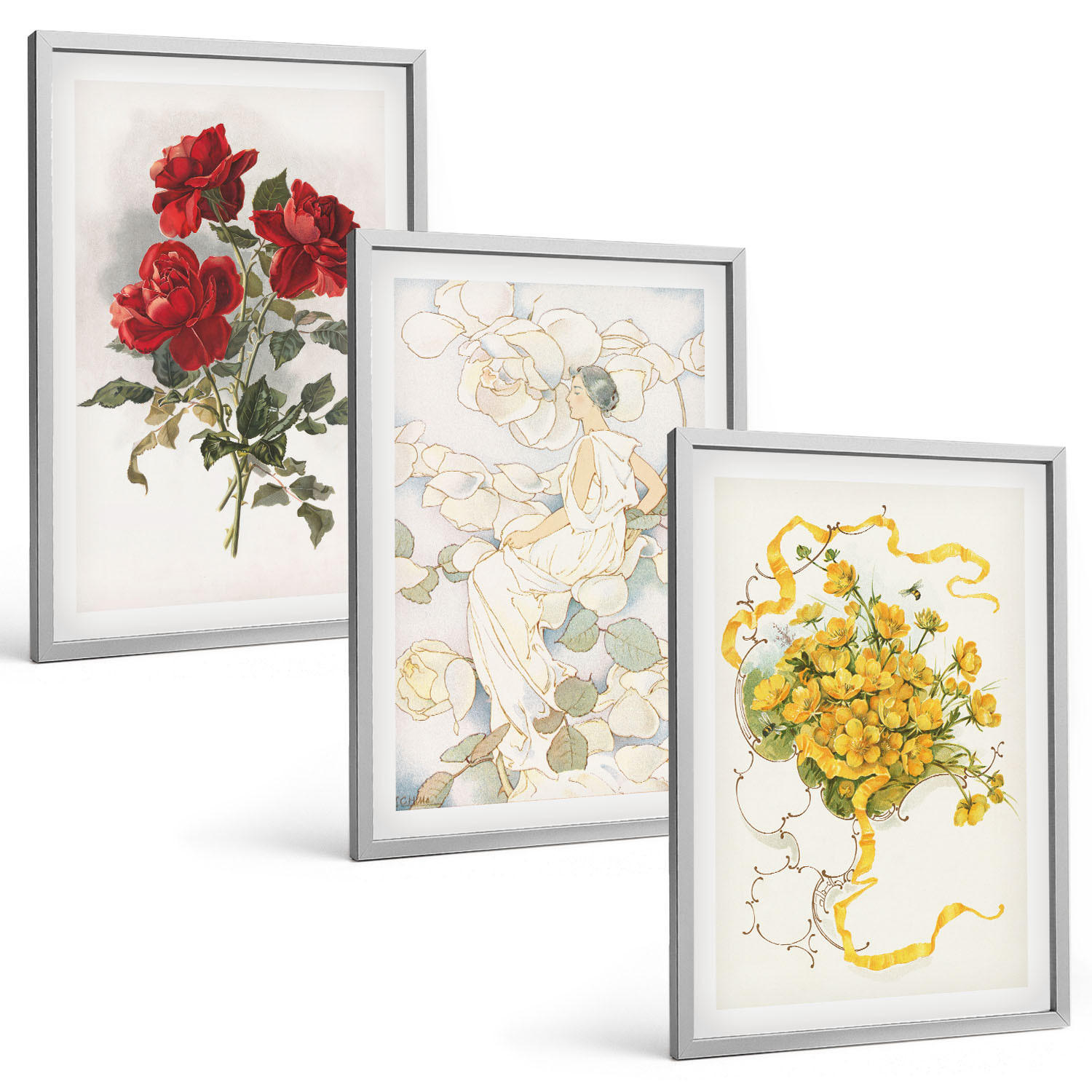 BILDER SET 3er Set - 40x60 cm Silberner Rahmen - Rosen rot-weiße Form - Silberfarben, Kunststoff (40/60cm) - TULUP