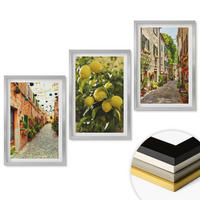 WANDBILDER 3er Set - 40x60 cm Silberner Rahmen - Straßen mit Zitronenblüten im Hintergrund - Silberfarben, Kunststoff (40/60cm) - ArtPrintCave