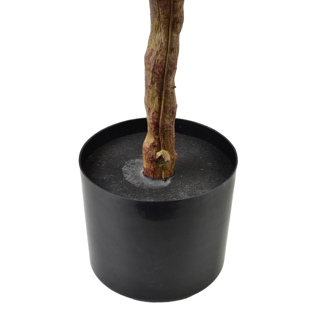 DRŽÁK, plast, průhledná - zelená barva, plast (114cm) - Mondex