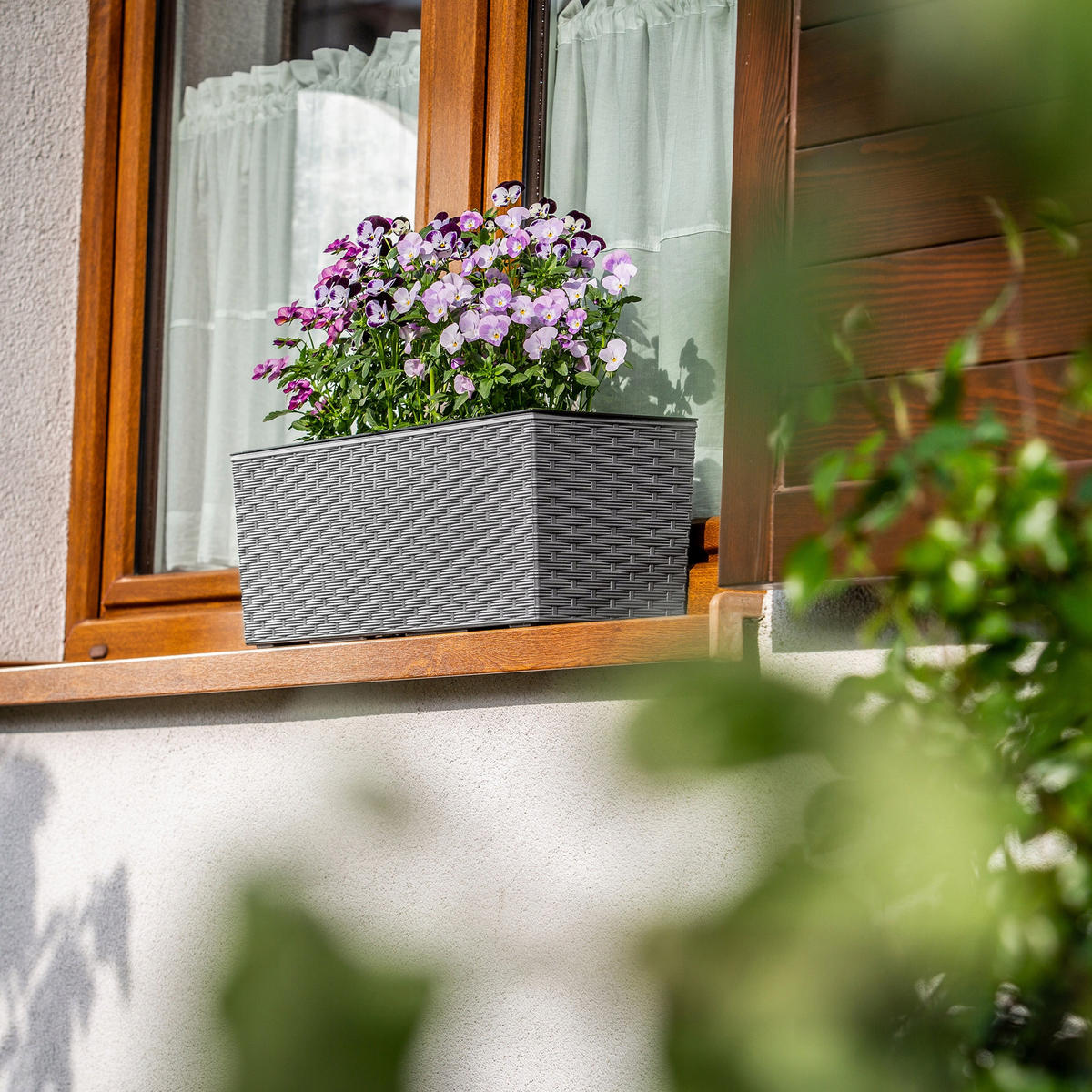 BLUMENKASTEN mit Einsatz 56 cm, Graphit - Graphitfarben, Kunststoff - KADAX