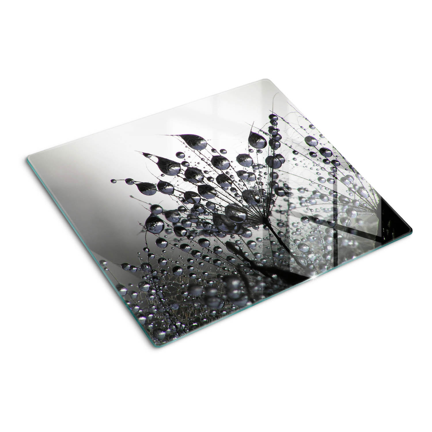 GLASPLATTE 60x52 cm Löwenzahn - Schwarz, Glas (60/0.4/52cm) - TULUP
