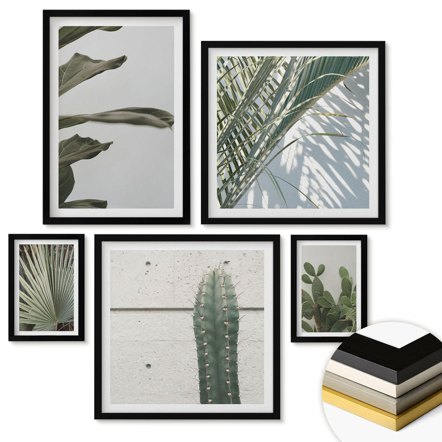 WANDBILDER 5er-Set - 50x50 cm & 20x30 cm & 40x60 cm Schwarzer Rahmen - Blätter tropischer Pflanzen in Pastellfarben - Schwarz, Kunststoff (40/60cm) - ArtPrintCave