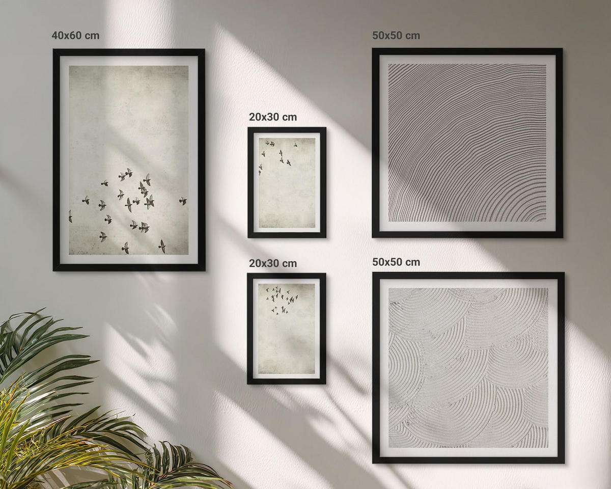 WANDBILDER 5er-Set - 50x50 cm & 20x30 cm & 40x60 cm Schwarzer Rahmen - Minimalistische Vogelmalerei - Schwarz, Kunststoff (40/60cm) - ArtPrintCave
