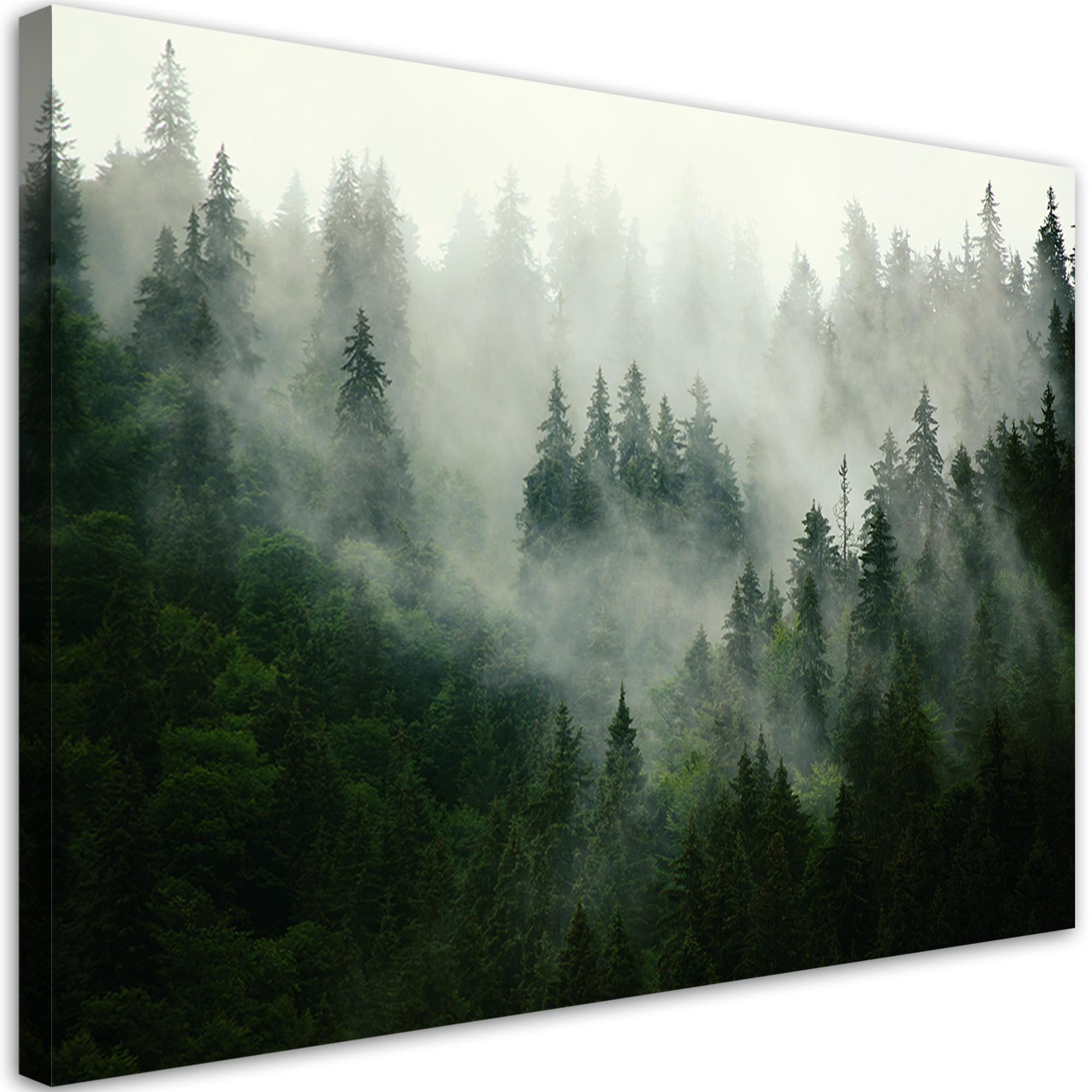 LEINWANDBILD Wald im Nebel - Grün, Textil (60/40cm) - Feeby