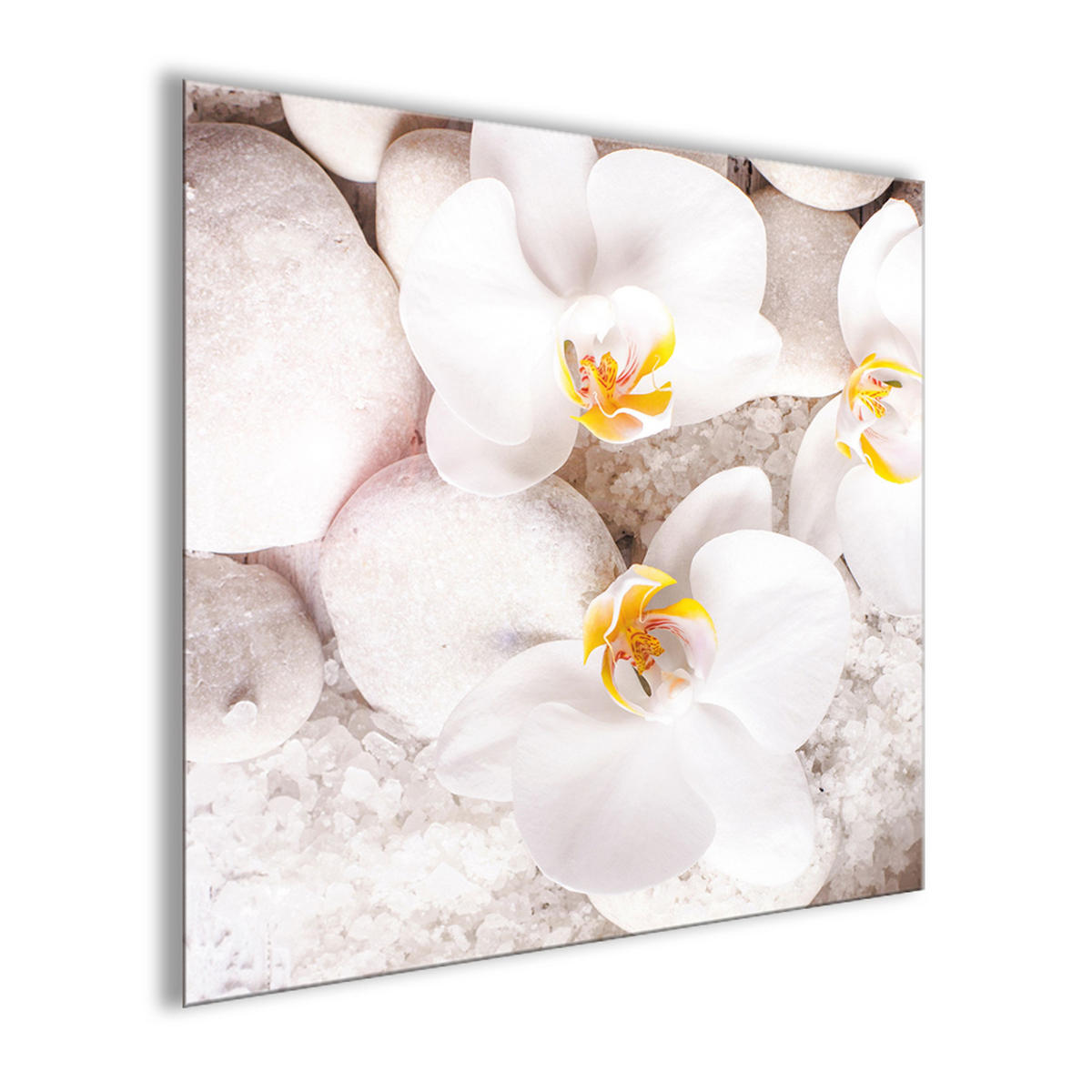 GLASBILD 30×30 cm Blumen weiß - Beige, Glas (30/30cm) - artissimo