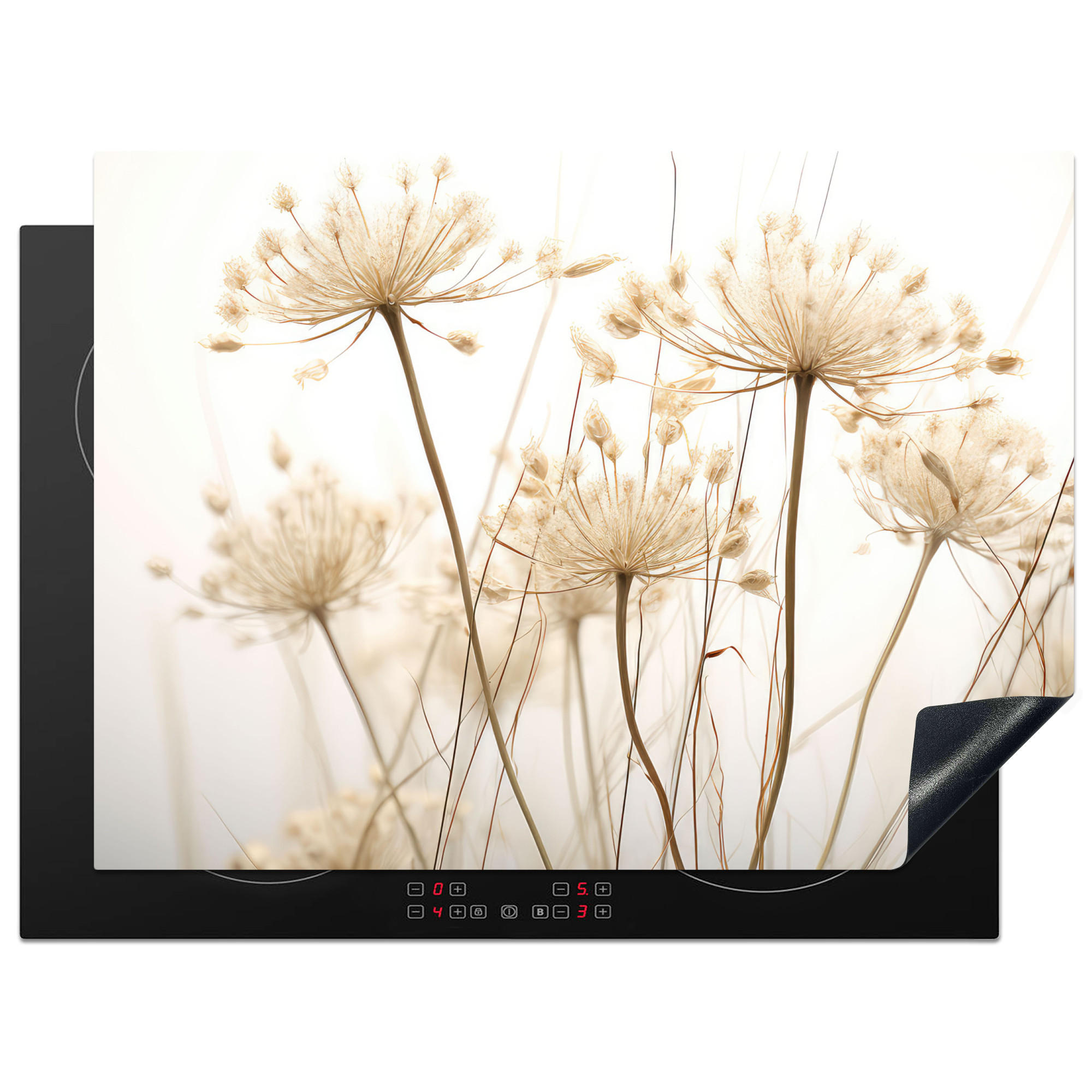 HERDABDECKPLATTE Blumen - Weiß - Sonnenlicht 71x52 cm - Ecru, Kunststoff (71/0.2/52cm) - MuchoWow