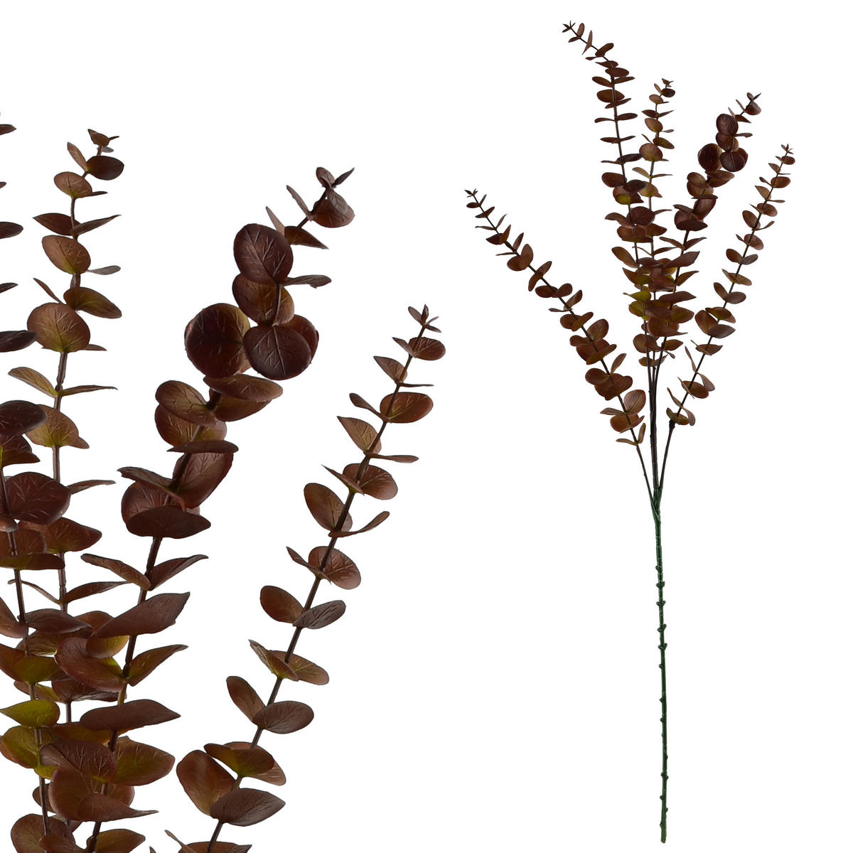 UMĚLÁ VĚTEV Eukalyptus, zelená, 80 cm - zelená barva, plast (80cm) - Mondex