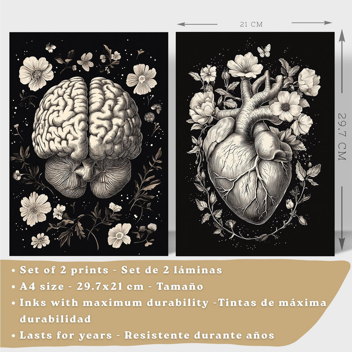 POSTER Set aus 2 Anatomie Mensch Drucke und Wandbilder mit Gehirn und Herz Monochromes Florales Design Schwarzer Hintergrund Größe Weißer Rahmen A4 - Weiß, Papier (21/29.7/3cm) - Nacnic