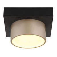 DECKENLEUCHTE RAYMOND METALL SCHWARZ MATT CHAMPAGNER LED - Schwarz, Metall (20/20/13cm) - Globo Lighting