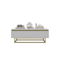 COUCHTISCH Selene Weiß matt 109 cm mit Metallrahmen - Goldfarben/Weiß, Holzwerkstoff/Metall (50/109/39cm) - Meble Lindner