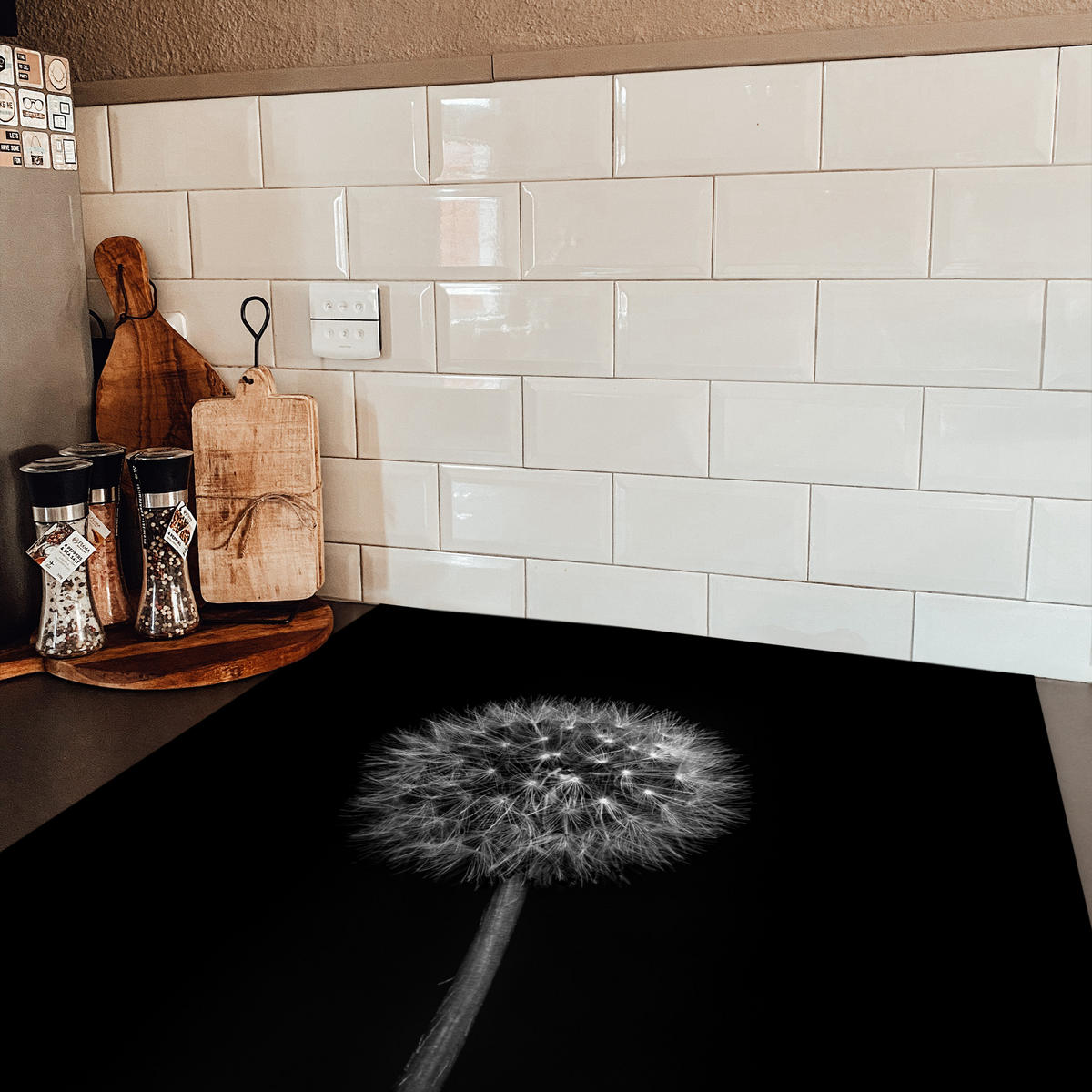 HERDABDECKPLATTE Löwenzahn - Schwarz - Floral - Botanisch 78x78 cm - Grau, Kunststoff (78/0.2/78cm) - MuchoWow