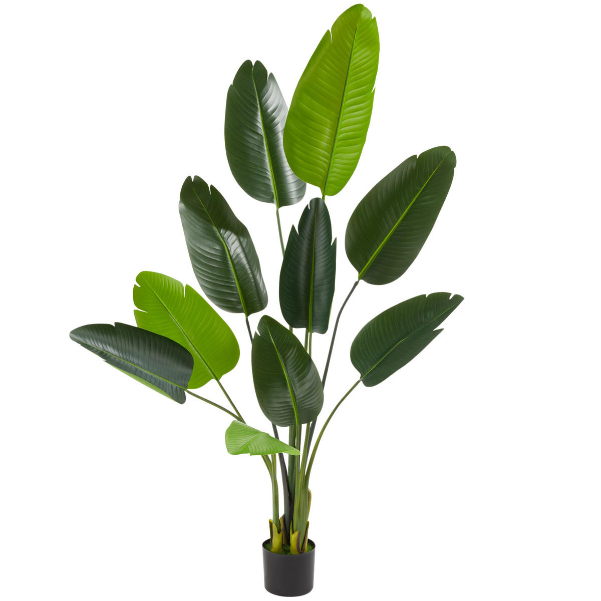 KÜNSTLICHER-PARADIESVOGELBAUM Tropic,stabiler Kunststoff-Blumentopf,grün - Grün, Kunststoff (160cm) - tectake