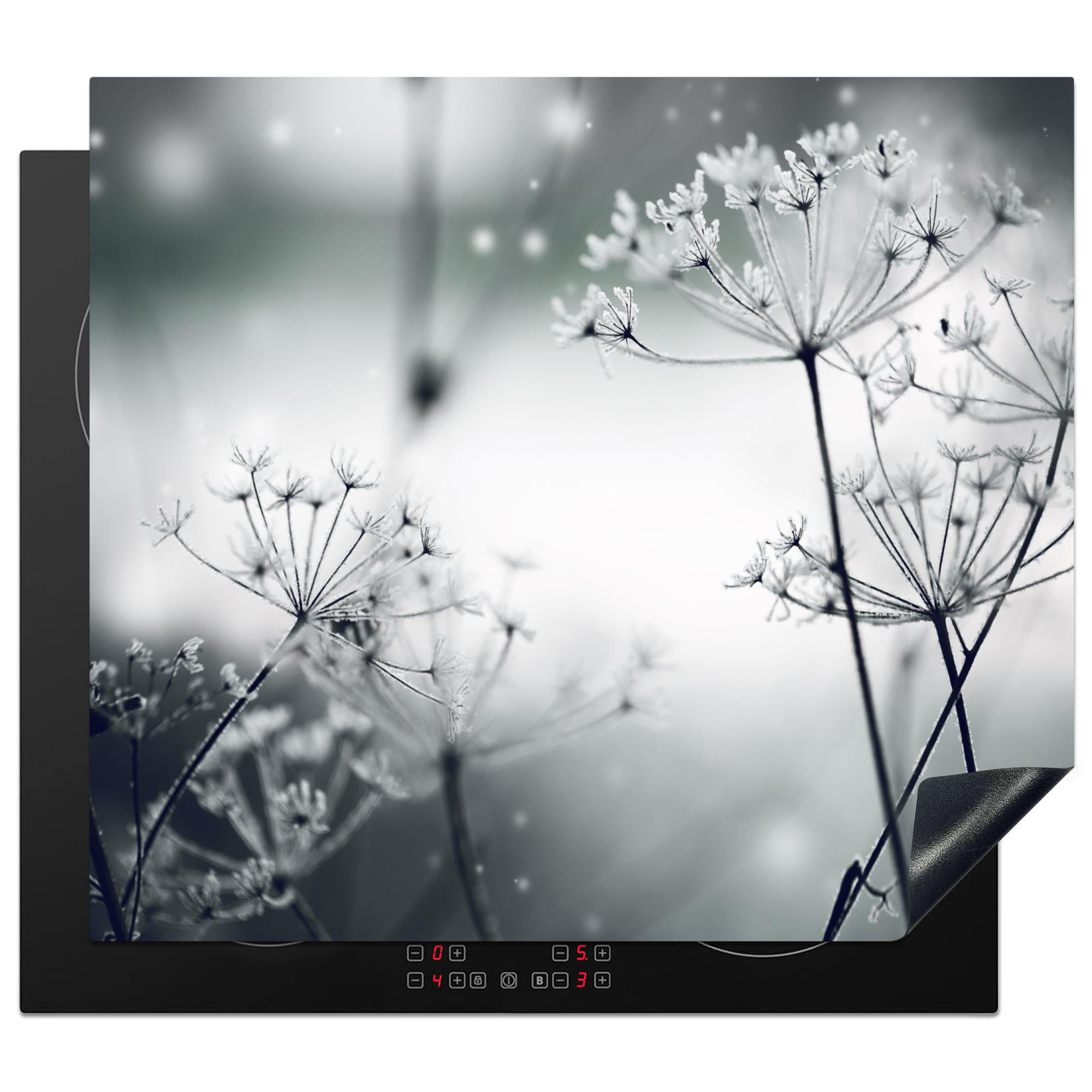HERDABDECKPLATTE Blumen - Winter - Schnee - Natur Abdeckung Ceranfeld 57.6x51.6 cm - Grau, Kunststoff (57.6/51.6/0.2cm) - MuchoWow