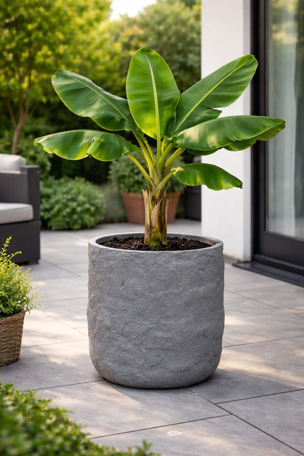 PFLANZKASTEN The Rock, 45x41 cm, Steinoptik Grau, Fiberstone - Anthrazit, Kunststoff (45/41/45cm) - dasmöbelwerk