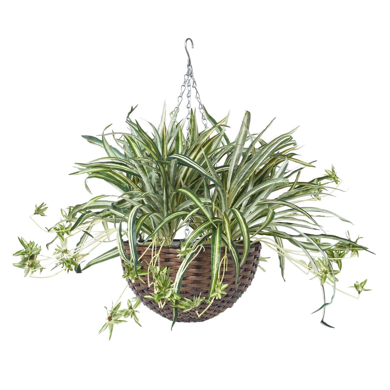 KUNSTPFLANZE Grünlilie in Hängeampel, 60 cm - Grün, Kunststoff (60cm) - Homescapes
