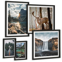 BILDER SET 5er Set - 50x50 cm & 20x30 cm & 40x60 cm Schwarzer Rahmen - Blumenarrangements in Vasen - Schwarz, Kunststoff (40/60cm) - TULUP