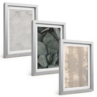 BILDER SET 3er Set - 20x30 cm Silberner Rahmen - Sommerliche tropische Texturen - Silberfarben, Kunststoff (20/30cm) - TULUP