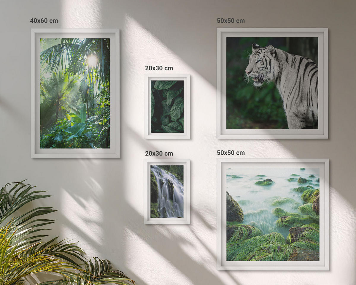 WANDBILDER 5er-Set - 50x50 cm & 20x30 cm & 40x60 cm Weißer Rahmen - Blätter und Blüten in verschiedenen Farben - Weiß, Kunststoff (40/60cm) - ArtPrintCave