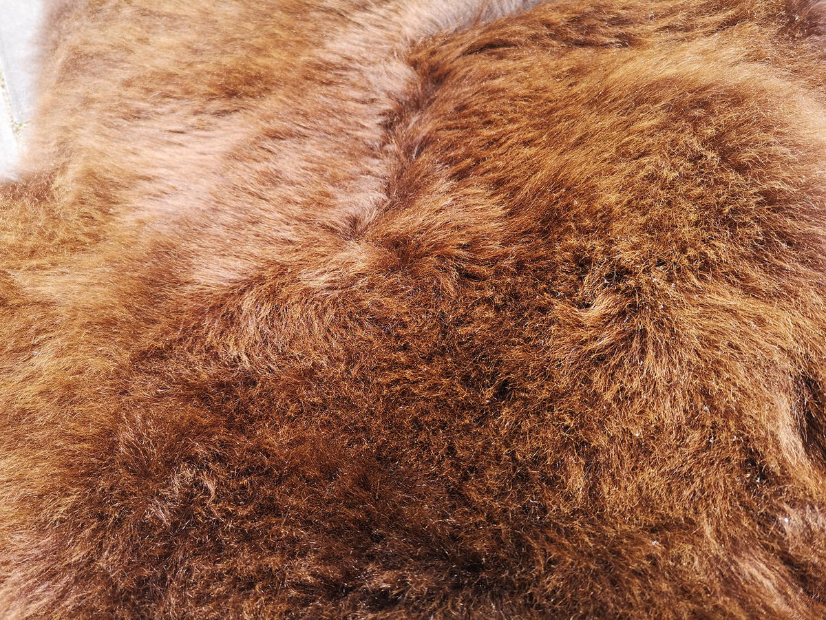 SCHAFFELL Natur Lammfell Weich Flauschig Wohnteppich, Braun, ca. 110 cm - Braun, Fell (60/110cm) - Provellus