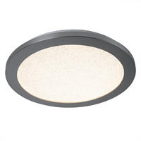 LED DECKENLEUCHTE Metall Silber Kristalloptik - Silberfarben, Kunststoff/Metall (30/30/2.5cm) - Wofi