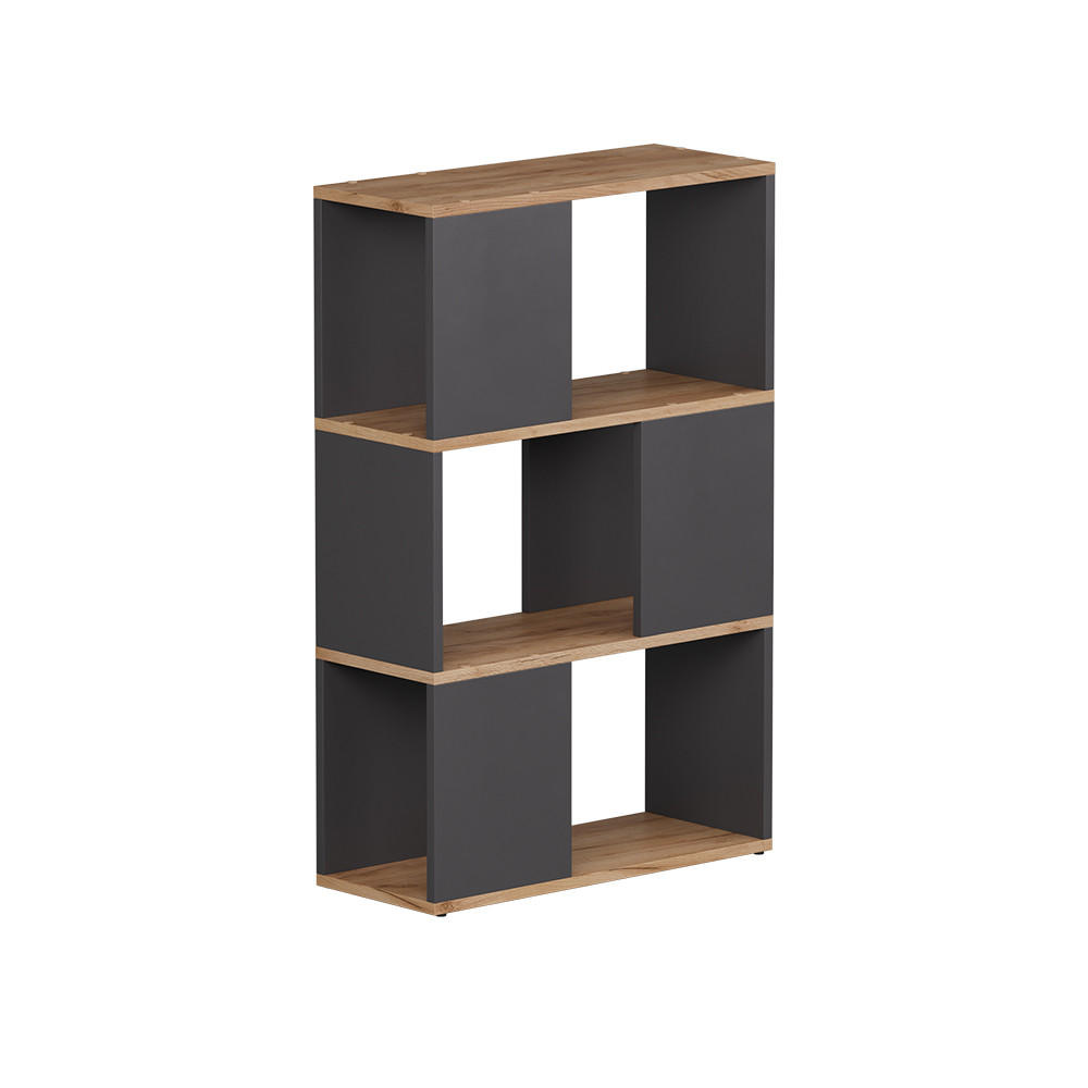 RAUMTEILER Eneos Anthrazit/Goldkraft Eiche 60 x 94 cm - Anthrazit/Eiche Wotan, Holzwerkstoff (60/94/24cm) - Vicco