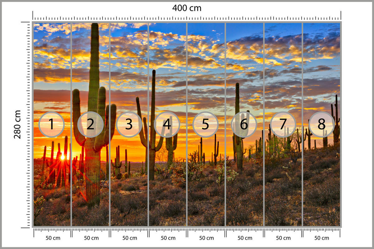 FOTOTAPETE für Wohnzimmer Wüsten Sonnenuntergang Kaktus Pflanzen 400x280 - Gelb/Beige, Papier (400/280cm) - Muralo
