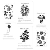 POSTER Set Mit 6 Komposition Aus Schwarzen & Weißen Pilzen & Homgos A3 & A4 Rahmenlos - Klar, Papier (29/3cm) - Nacnic