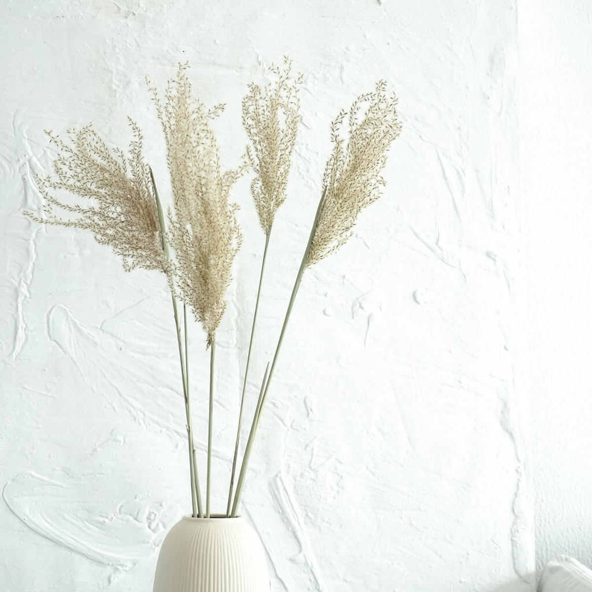 REED Gras: Boho-Chic - ein Hauch von Natürlichkeit für deine Vase - 1 Bund / weiß / 60 cm - Weiß, Naturmaterialien (60cm) - Lykke & You