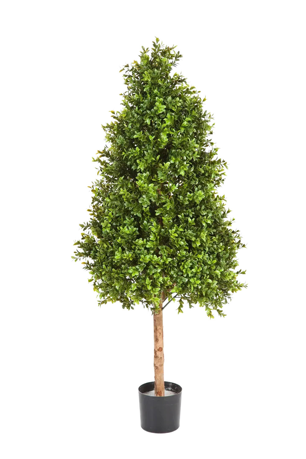 KUNSTBAUM Künstlicher Buchsbaum - Rene 140 cm - Grün, Kunststoff (140cm) - aplanta