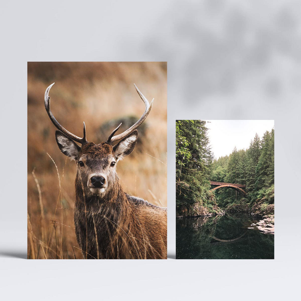 POSTER Set Mit 6 Winter Natur Wandbild A3 & A4 Rahmenlos - Klar, Papier (29/3cm) - Nacnic