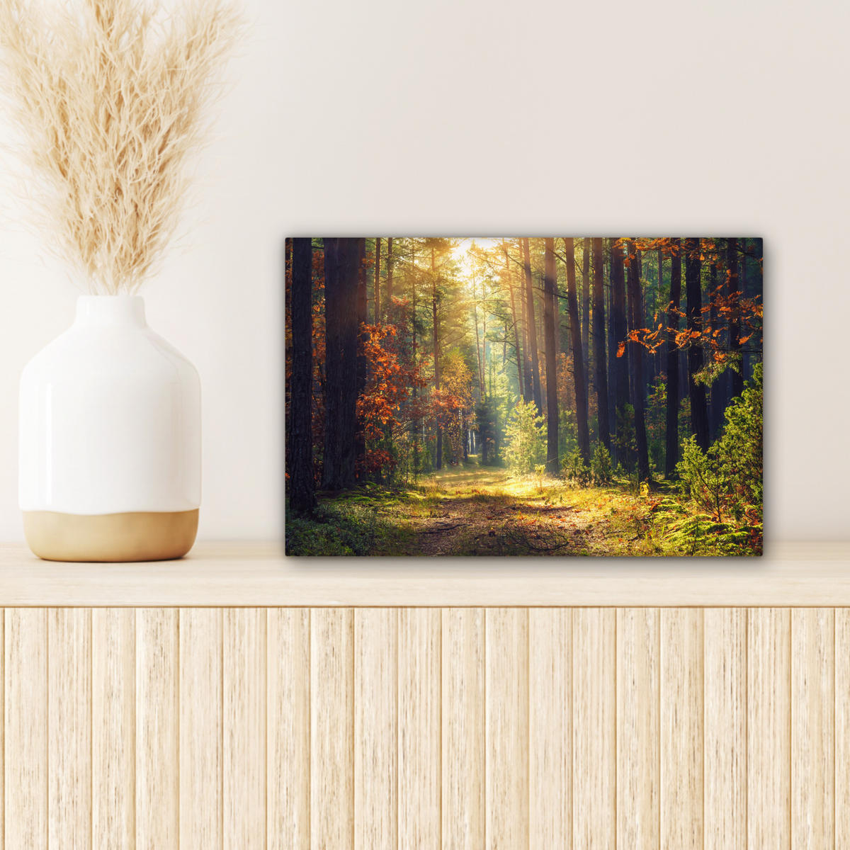 LEINWANDBILD Wald - Herbst - Bäume 30x20 cm - Dunkelgrün, Textil (30/20cm) - MuchoWow