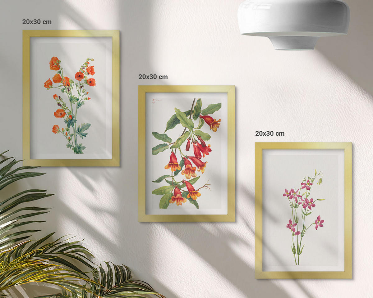WANDBILDER 3er Set - 20x30 cm Goldrahmen - Vintage-Retro-Blumenmalerei - Goldfarben, Kunststoff (20/30cm) - ArtPrintCave