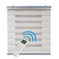 DOPPELROLLO Motorisiertes Leinen 100x250 cm - Beige, Kunststoff (100/250cm) - STORESDECO