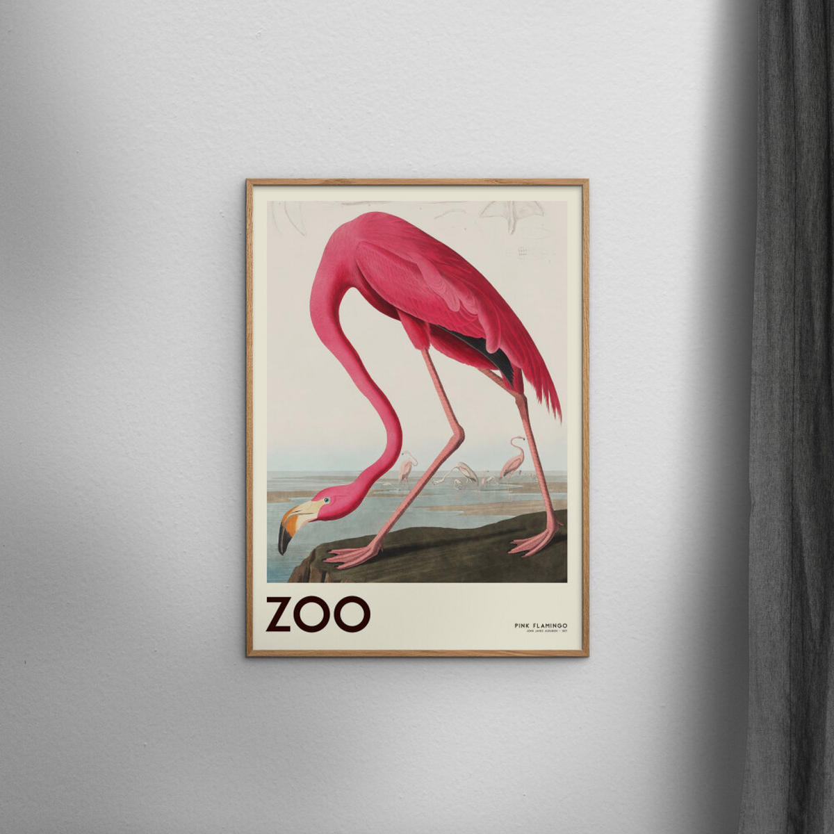 POSTER A.P. Atelier - The Zoo Collection — Pink Flamingo — Edt. 001 - Pink, Papier (50/70/0.1cm) - Poster&Frame