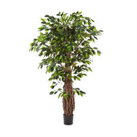 KUNSTBAUM Künstlicher Ficus - Jannik 180 cm - Grün, Kunststoff (180cm) - aplanta