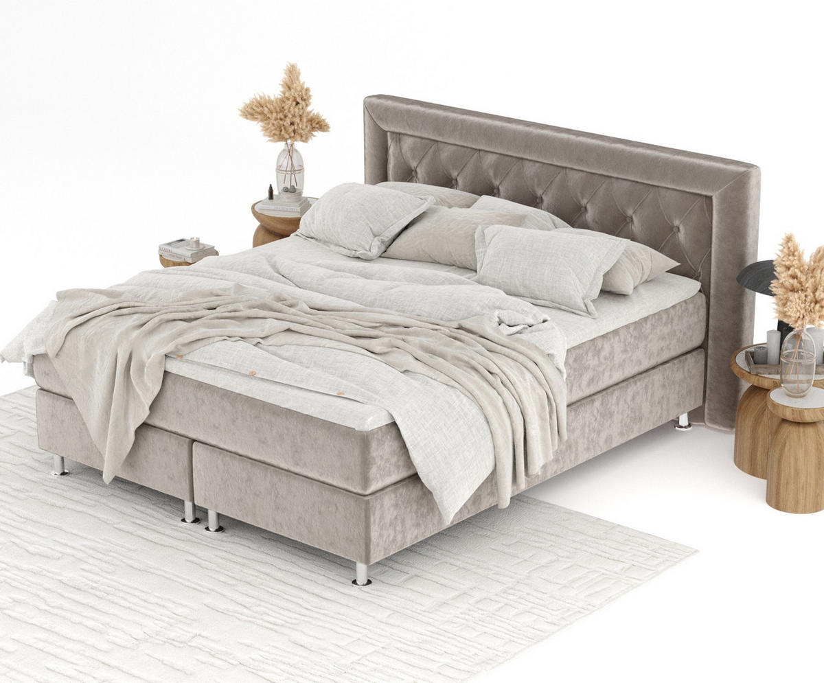 BOXSPRINGBETT Lavello Taupe 200/200 cm mit Latex-Topper - Taupe/Silberfarben, Holz/Holzwerkstoff (200/200cm) - Maison de Reve