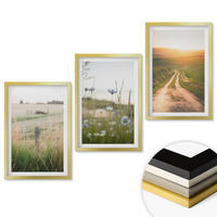 WANDBILDER 3er Set - 40x60 cm Goldrahmen - Landschaften Natur Felder Weg - Goldfarben, Kunststoff (40/60cm) - ArtPrintCave