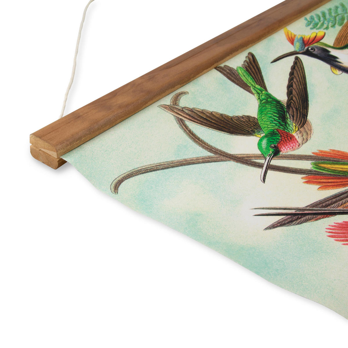 POSTER Kolibris 80x60 - Multicolor, Textil (60/80/0.1cm) - Art for the Home