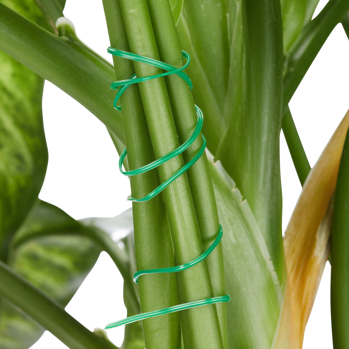 PFLANZENHALTER 100tlg. - Multicolor, Kunststoff/Metall (8/2/12.3cm) - Relaxdays