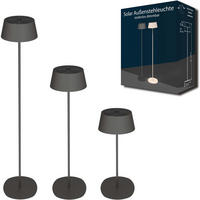 LED-STEHLEUCHTE Solar Outdoor bis zu 120cm Metall schwarz - Schwarz, Metall (23/23/120cm) - Northpoint