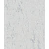 VLIESTAPETE Betonoptik Tapete grau - Hellgrau, Papier (53/1005cm) - marburg