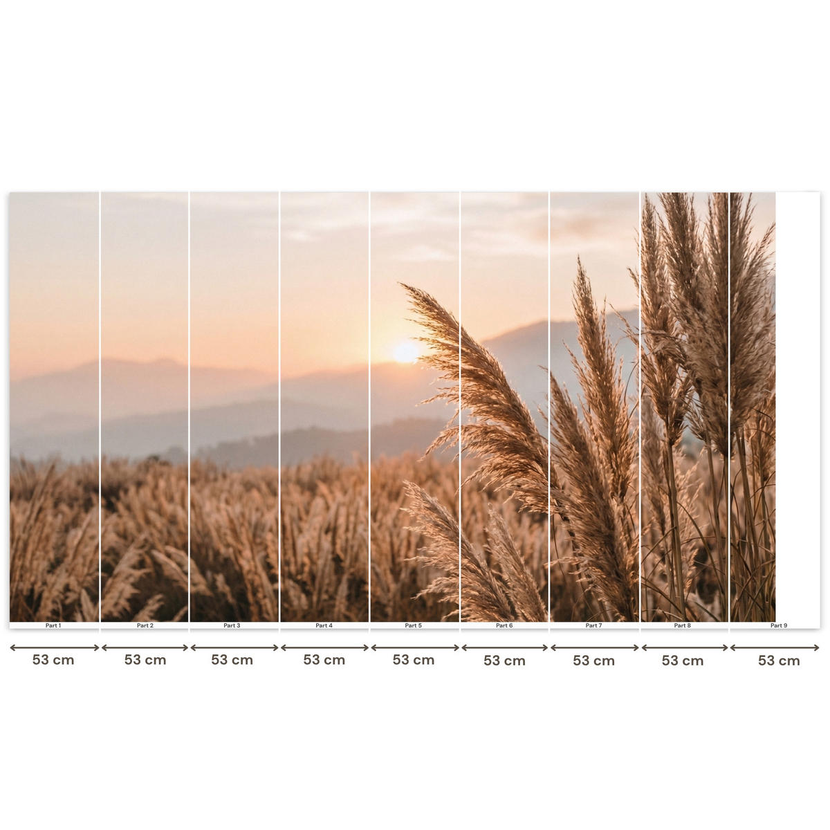 TAPETE - Gras - Feld - Sonne - Natur - 450x240 cm - Sandfarben, Papier (450/240cm) - OnlyWow